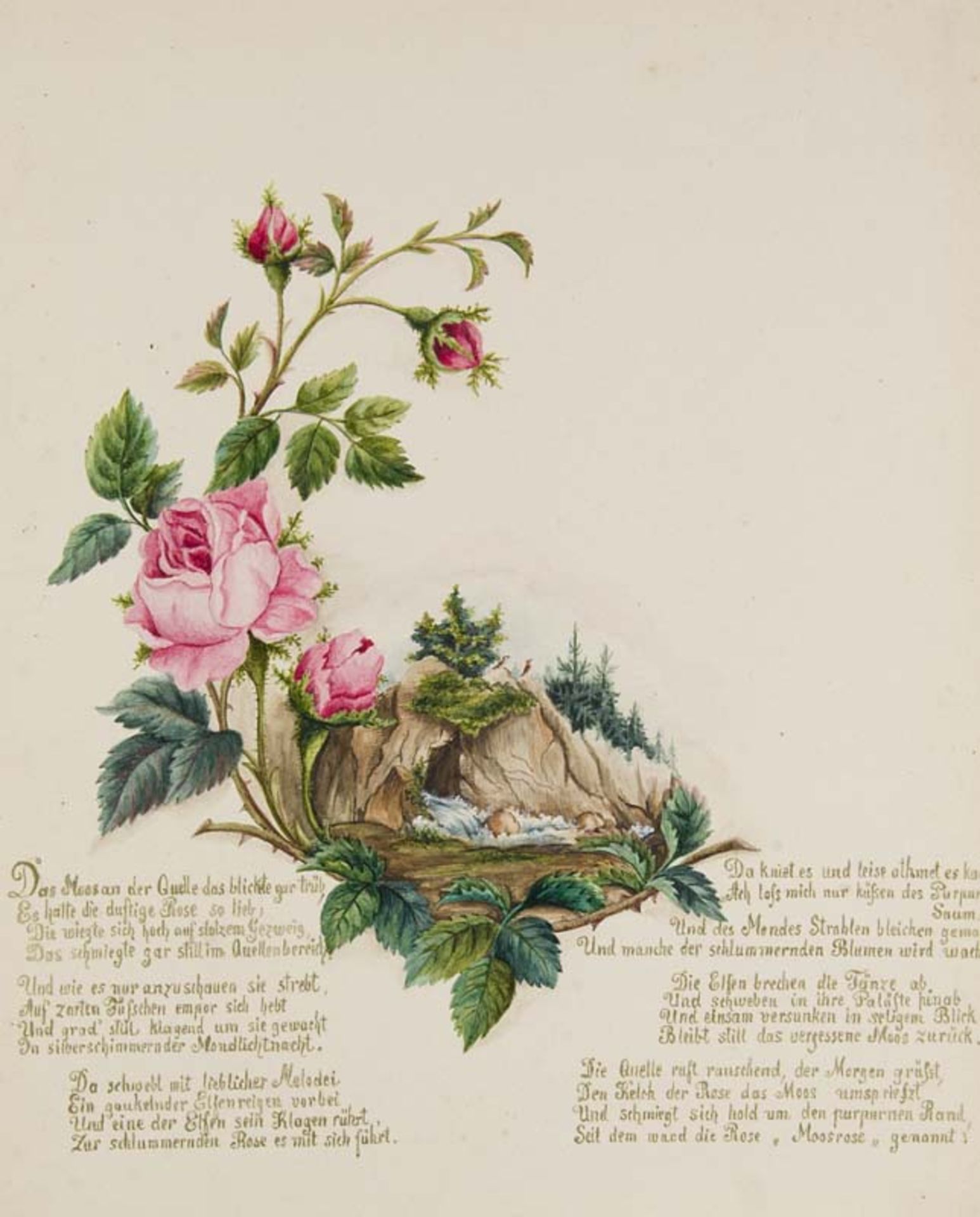 Gaede, Hedwig. Feldblumen. 10 Blumenaquarelle mit Gedichten auf Karton. o.O., um 1880. 1 hs. - Bild 3 aus 3
