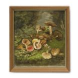 Mykologie - - Zwei Gemälde mit Pilzdarstellungen. Öl auf Holz. Jew. dat. u. monogrammiert "S.R."