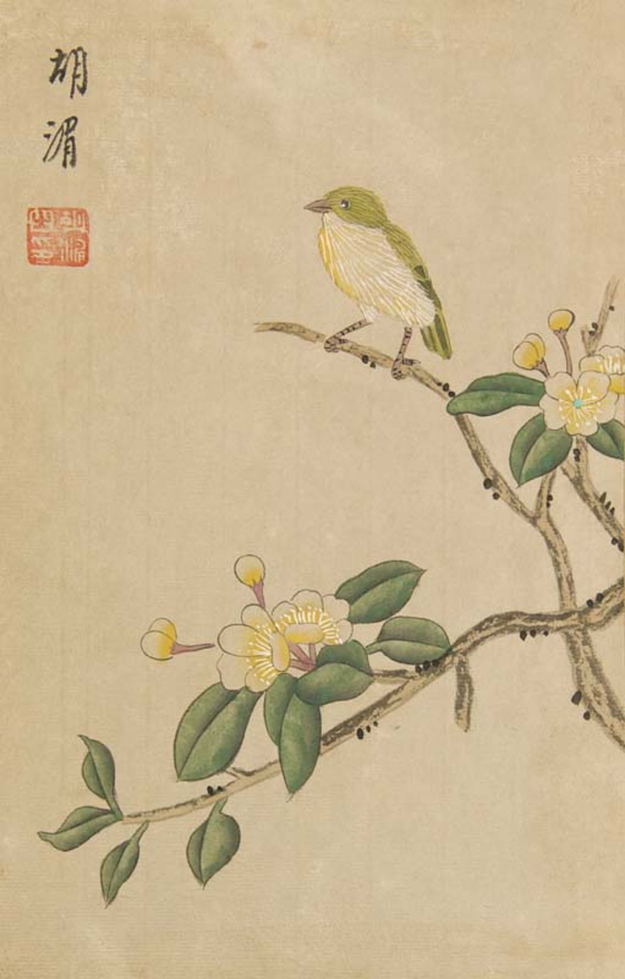 China - - (Nach) Mei, Hu. (Chin. Hu nio hua ce) Album der Blumen und Vögel. Mit 6 kalligraphischen