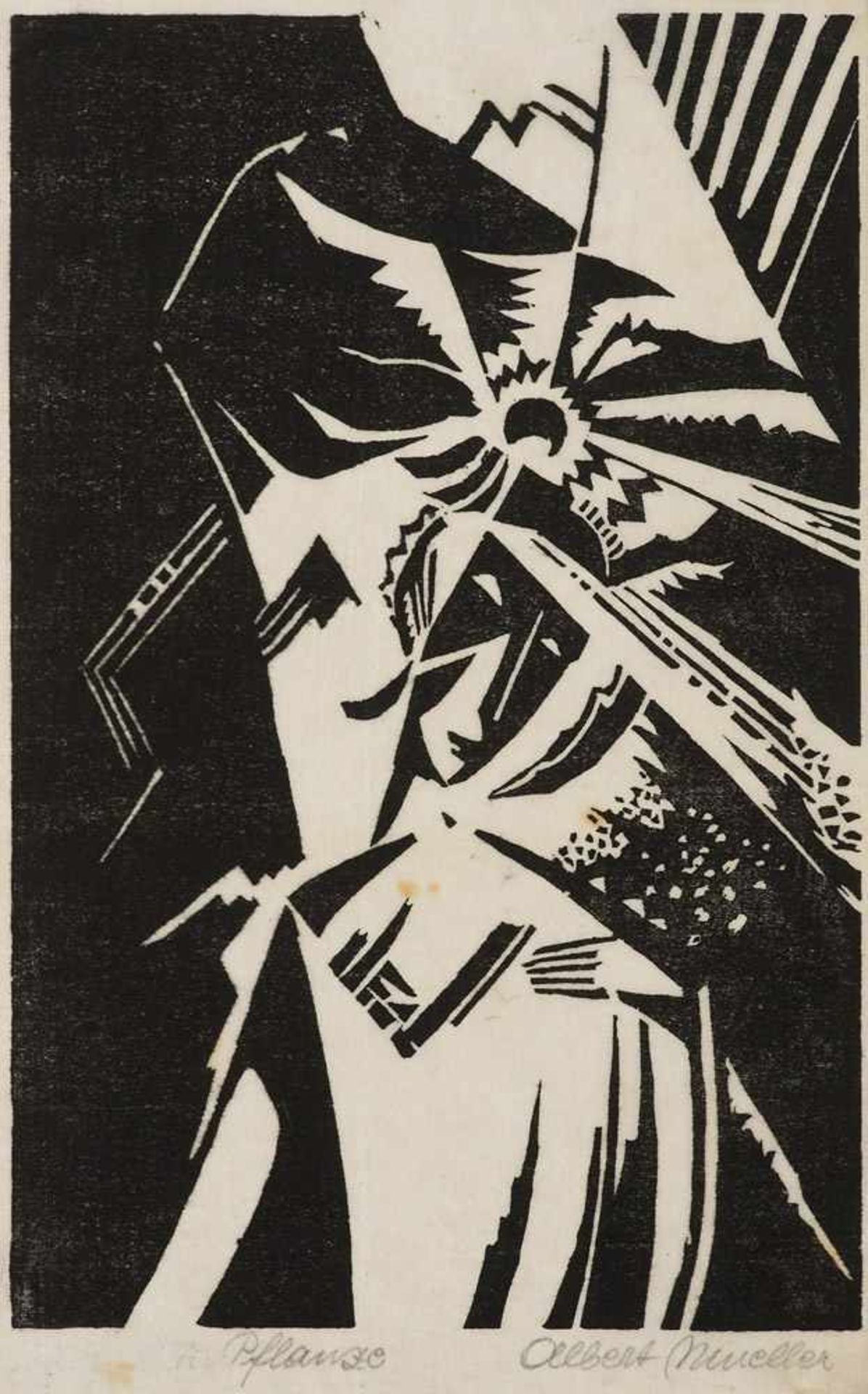 Expressionismus - - Mueller, Albert. (1884 Schwandorf - 1963 Bremen). Pflanze. 1919. Holzschnitt