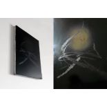 365 - - Anaïs Morales. Smoke-tinted window. 2019. Öl auf Acryl, Leinwand. 40,6 x 30.5 cm. Signiert.