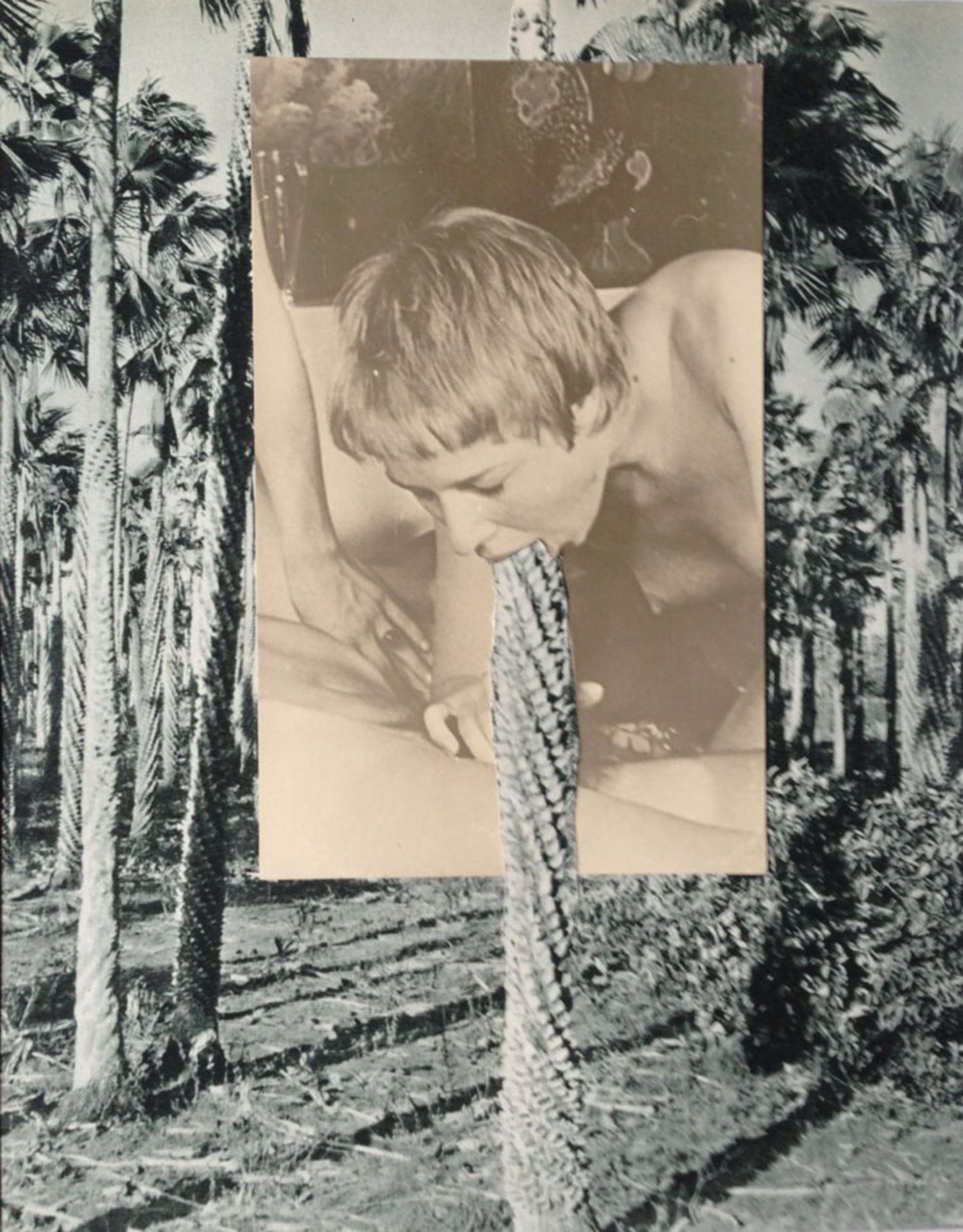 234 - - Alexandra Baumgartner. Porno 1. 2016. Collage. Passepartout 40 x 30 cm. Signie