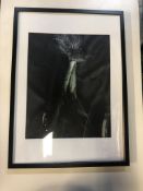 11 x Black Framed Prints