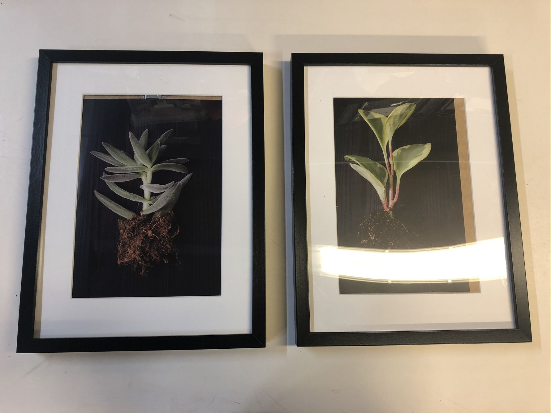 11 x Black Framed Prints - Image 2 of 10