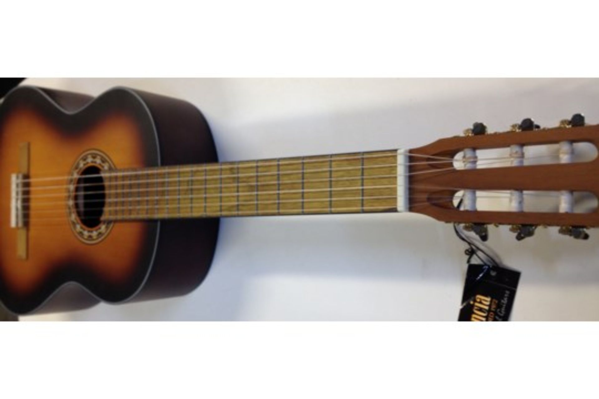 Valencia Classical Guitar w/ Gig Bag | RRP £135