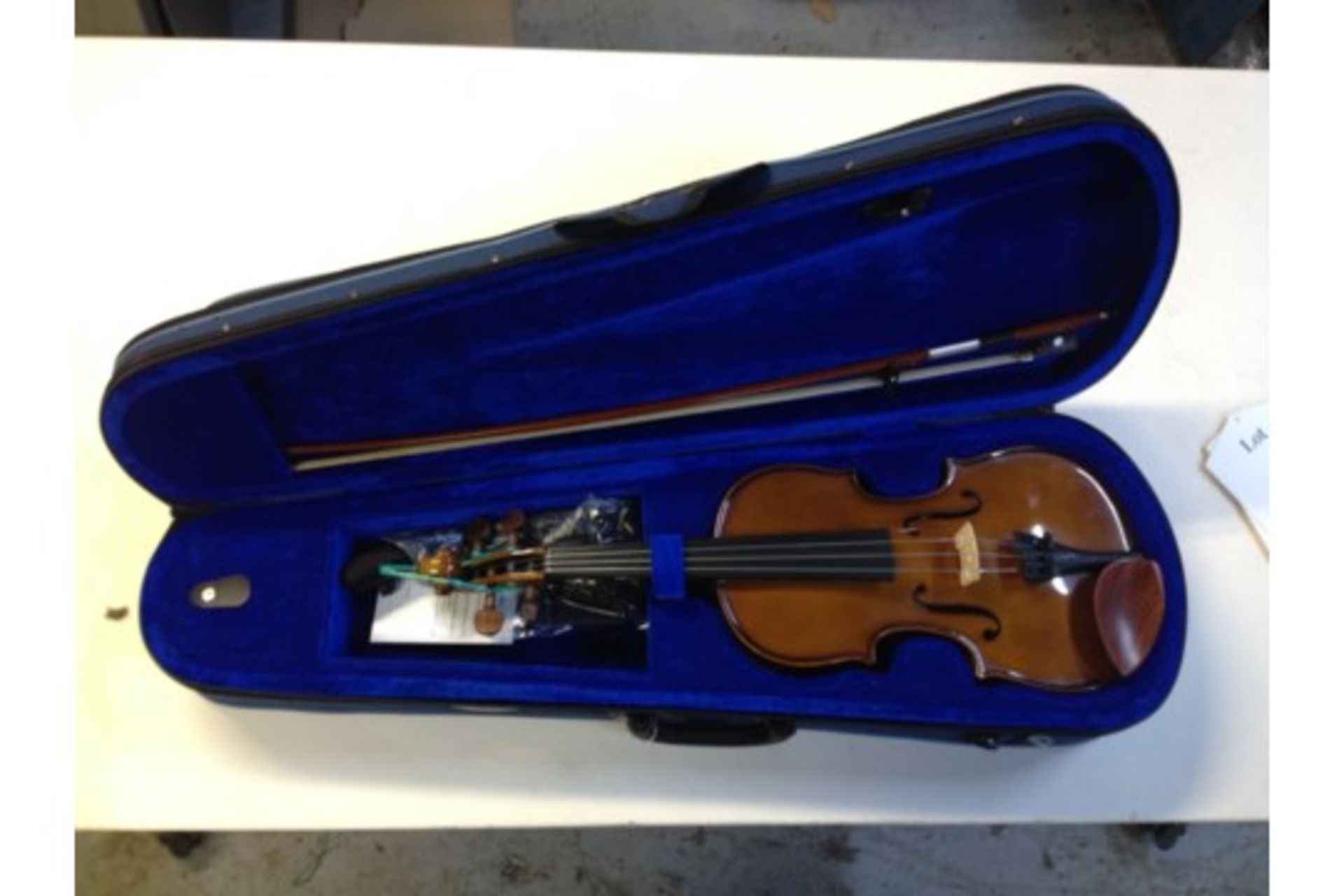 Violin and Hard Case