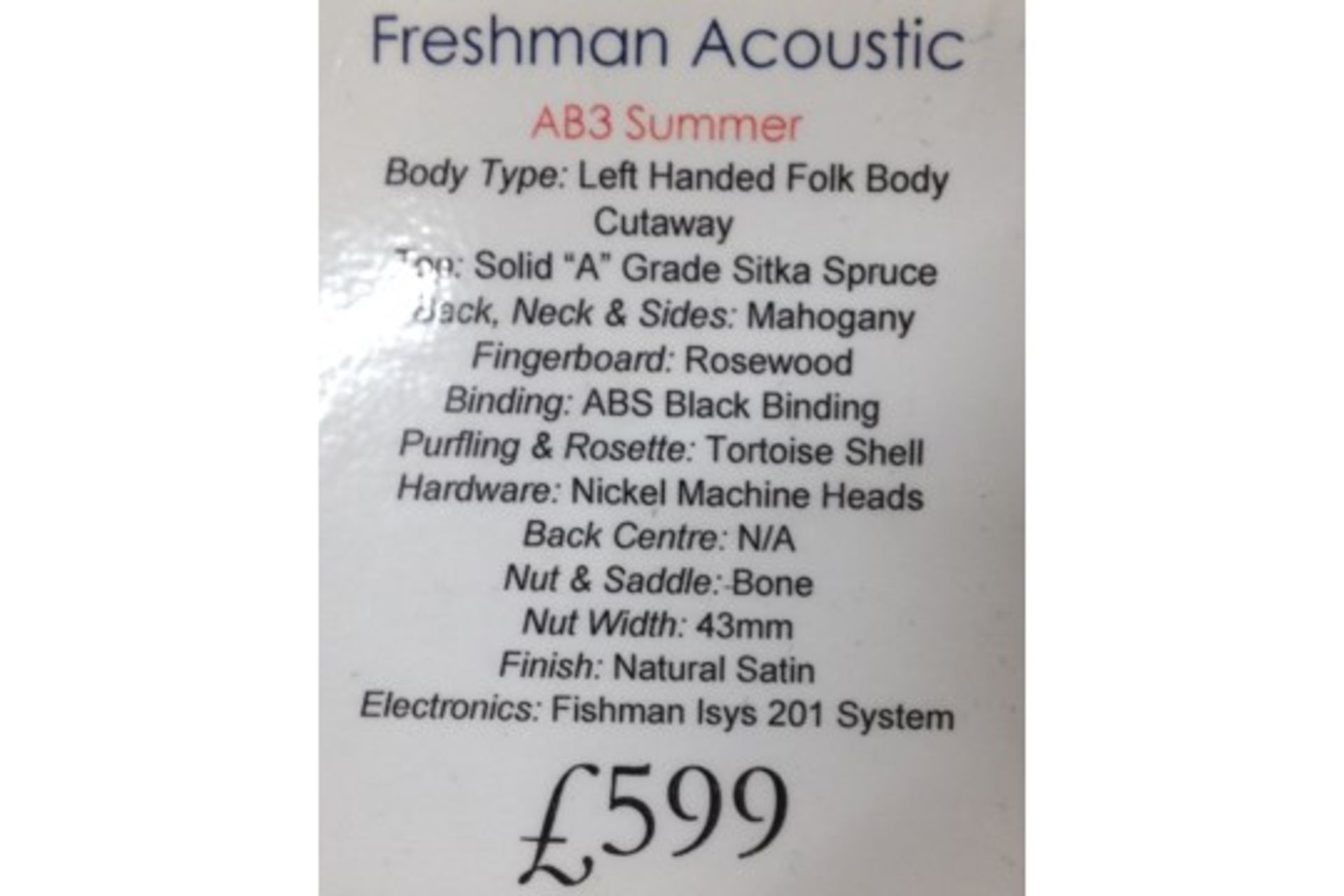 Freshman Acoustic Guitar w/hard case | RRP £599 - Image 2 of 4