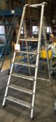 6 Tread Ladder
