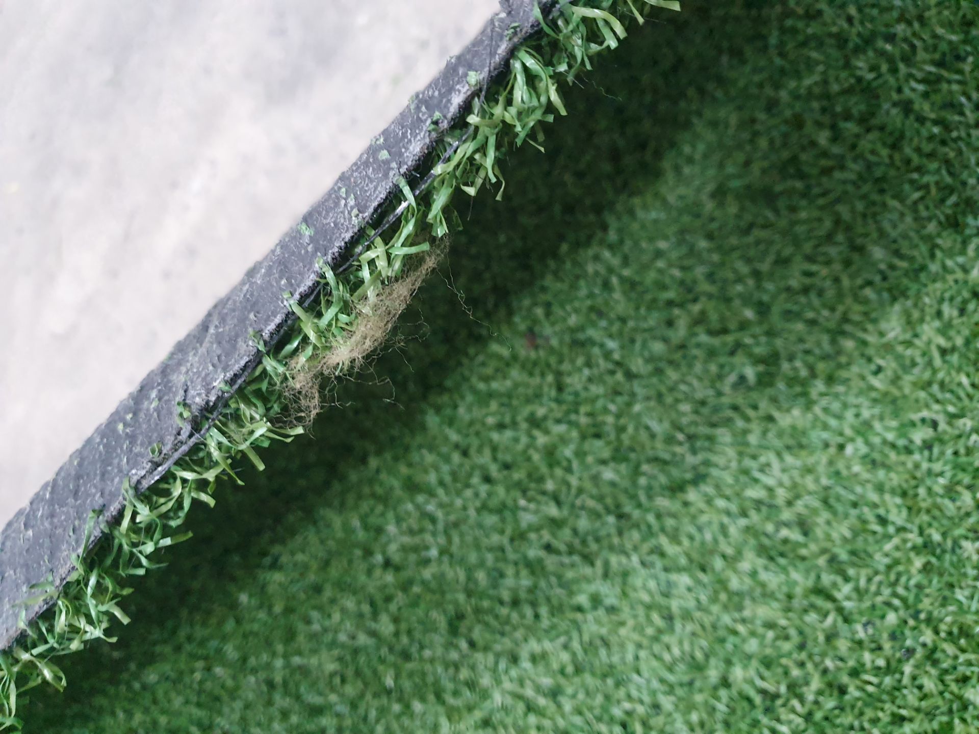 Roll of Green Artificial Grass | Approximate size: 1.7m x 2.4m - Image 2 of 2