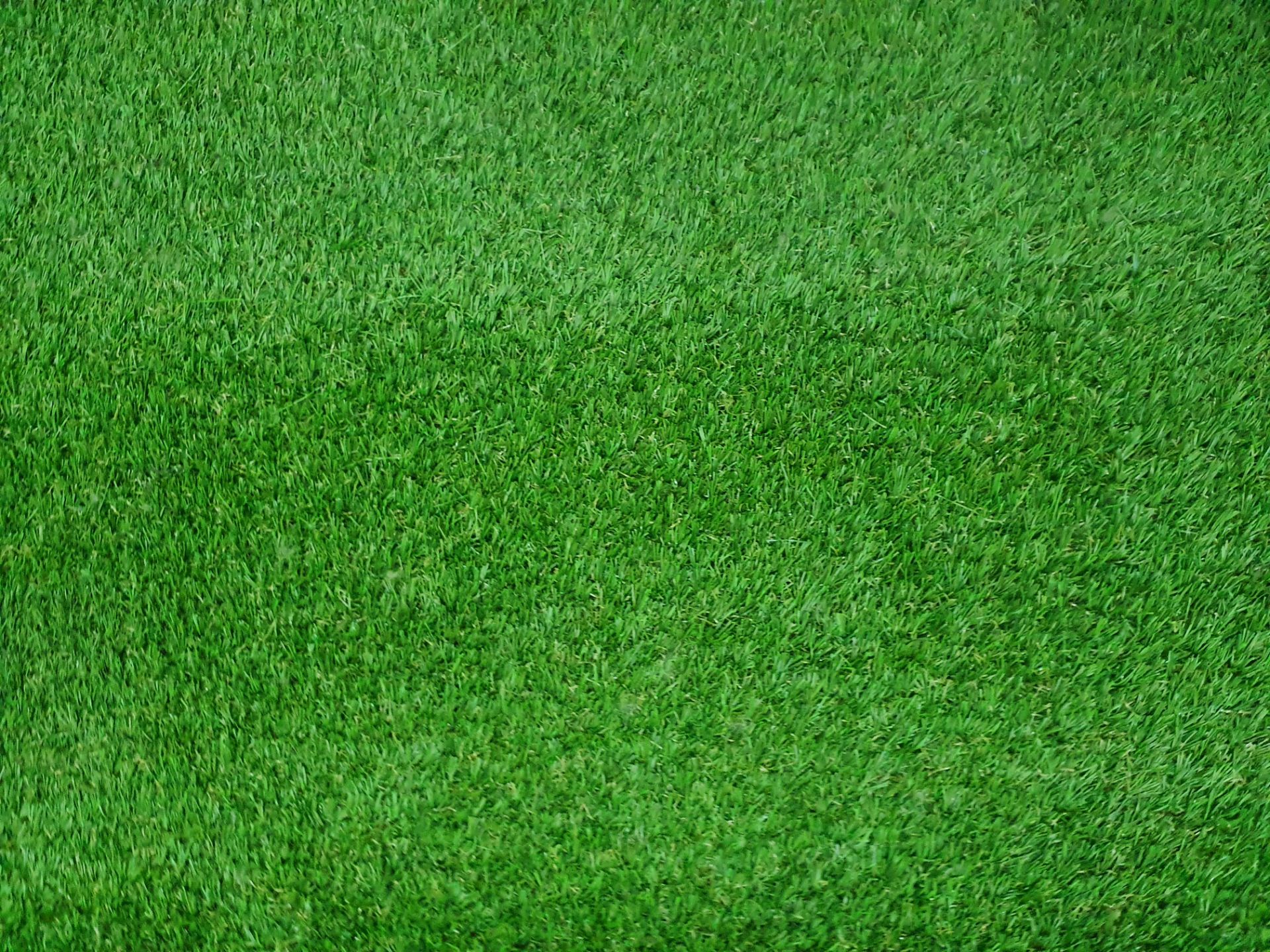 Roll of Green Artificial Grass | Approximate size: 4m x 4m - Image 3 of 4