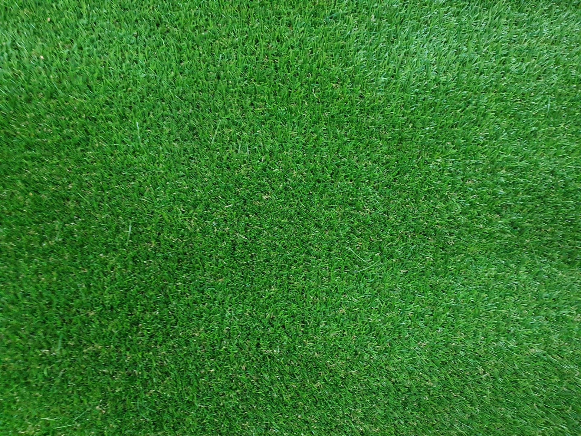 Roll of Green Artificial Grass | Approximate size: 4m x 3.5m - Image 2 of 3