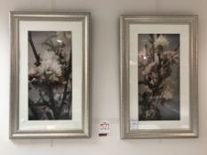 2 x Ex Display Wall Mounted Blossoming Almond Greenwood Pictures | 38" x 22"