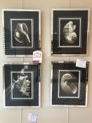 4 x Various Ex Display Wampler Wall Mounted Pictures | 20" x 16" | RRP£564