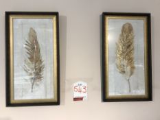 Set of 2 Ex Display Antique Feather Pictures | 380 x 680 x 40mm