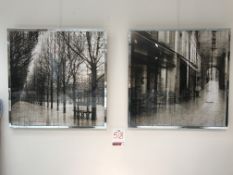 2 x Ex Display Blurred Visions Wall Mounted Pictures | 29" x 29"