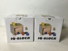 2 x IQ Block Learning Toy