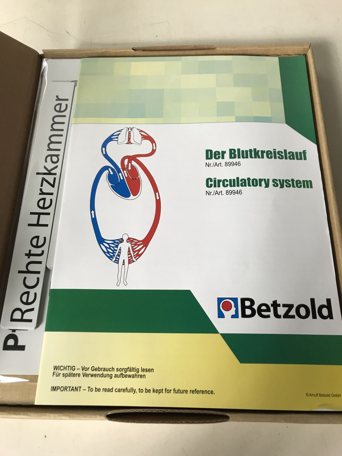 18 x Circulatory System Diagram Game - Image 2 of 2