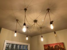 6 Light Cluster Ceiling Pendant