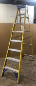 Werner 8 Tread Step Ladder