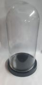 Large Clear Glass Dome with Black Ceramic Base