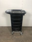 Mobile 6 Drawer Beauty Workstation