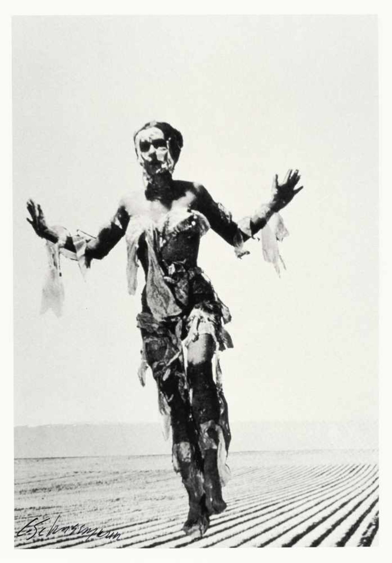 Carolee Schneemann