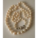 Collier de perles de culture de 4 à 8 mm en perle centrale, fermoir en or blanc 750 [...]