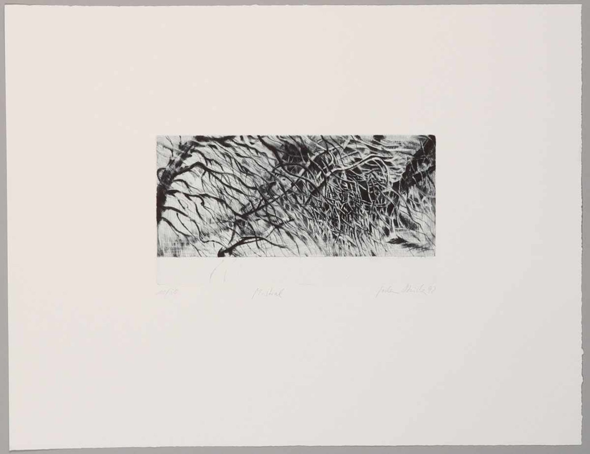 Jochen Stücke1962 Münster - "Mistral" - Radierung/Papier. 10/50. 16 x 30 cm, 47,3 x 61 cm. Sign. und - Bild 10 aus 11