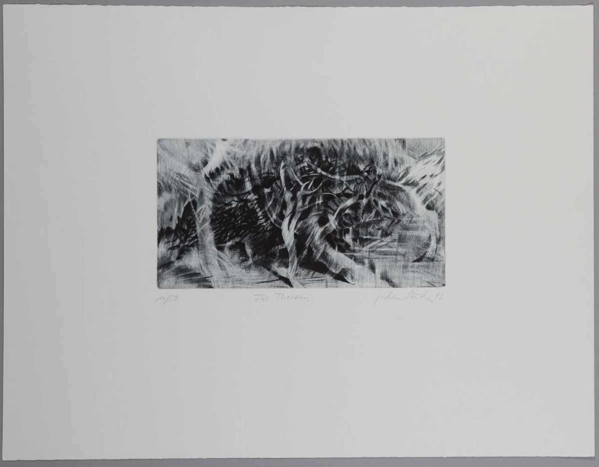 Jochen Stücke1962 Münster - "Mistral" - Radierung/Papier. 10/50. 16 x 30 cm, 47,3 x 61 cm. Sign. und - Bild 7 aus 11