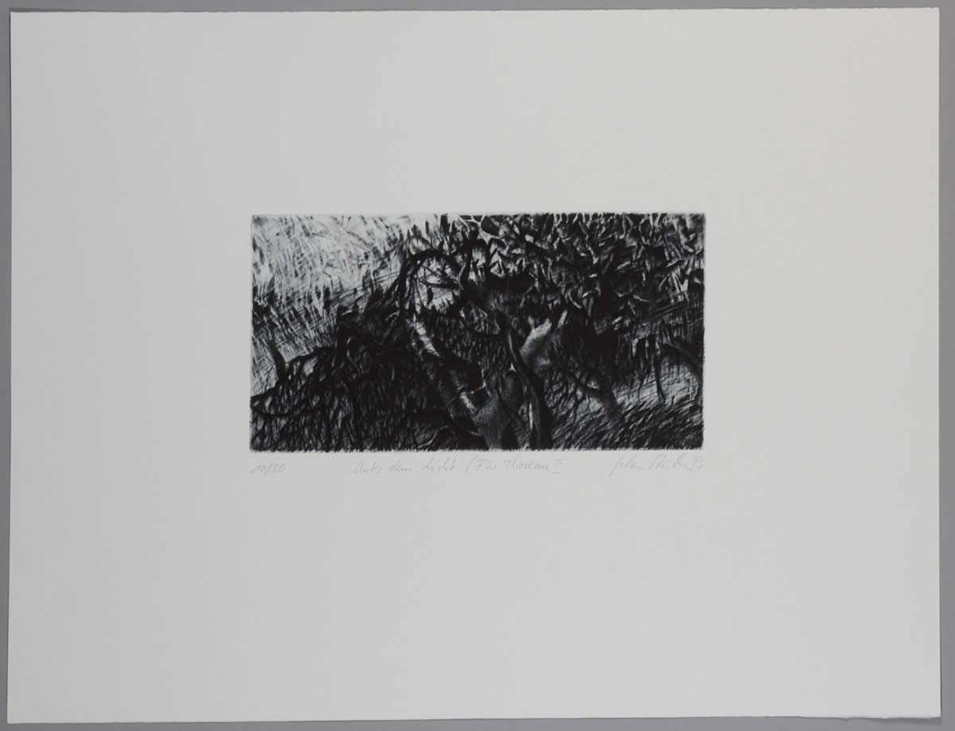Jochen Stücke1962 Münster - "Mistral" - Radierung/Papier. 10/50. 16 x 30 cm, 47,3 x 61 cm. Sign. und - Bild 6 aus 11