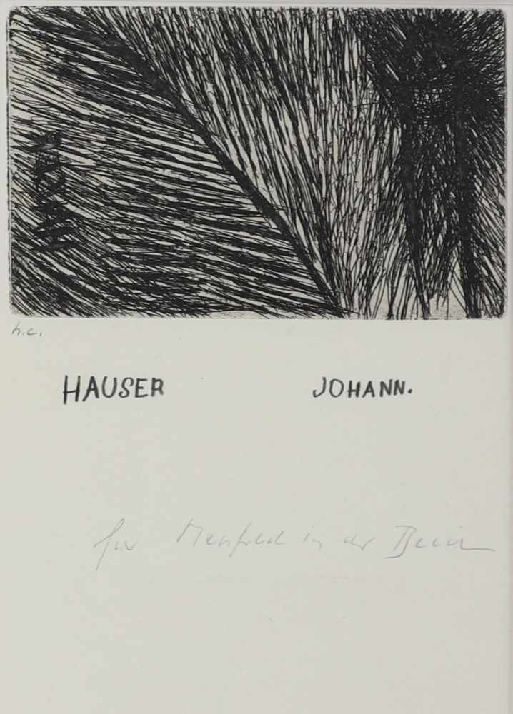 Johann Hauser