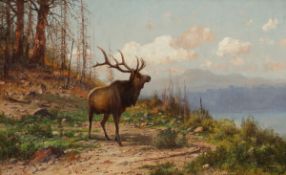 John Fery1859 Straßwalchen - 1934 Everett - Wapiti in Gebirgslandschaft / Elk in the Mountains -