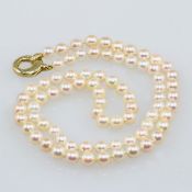 Perlenkette mit moderner Goldschließe