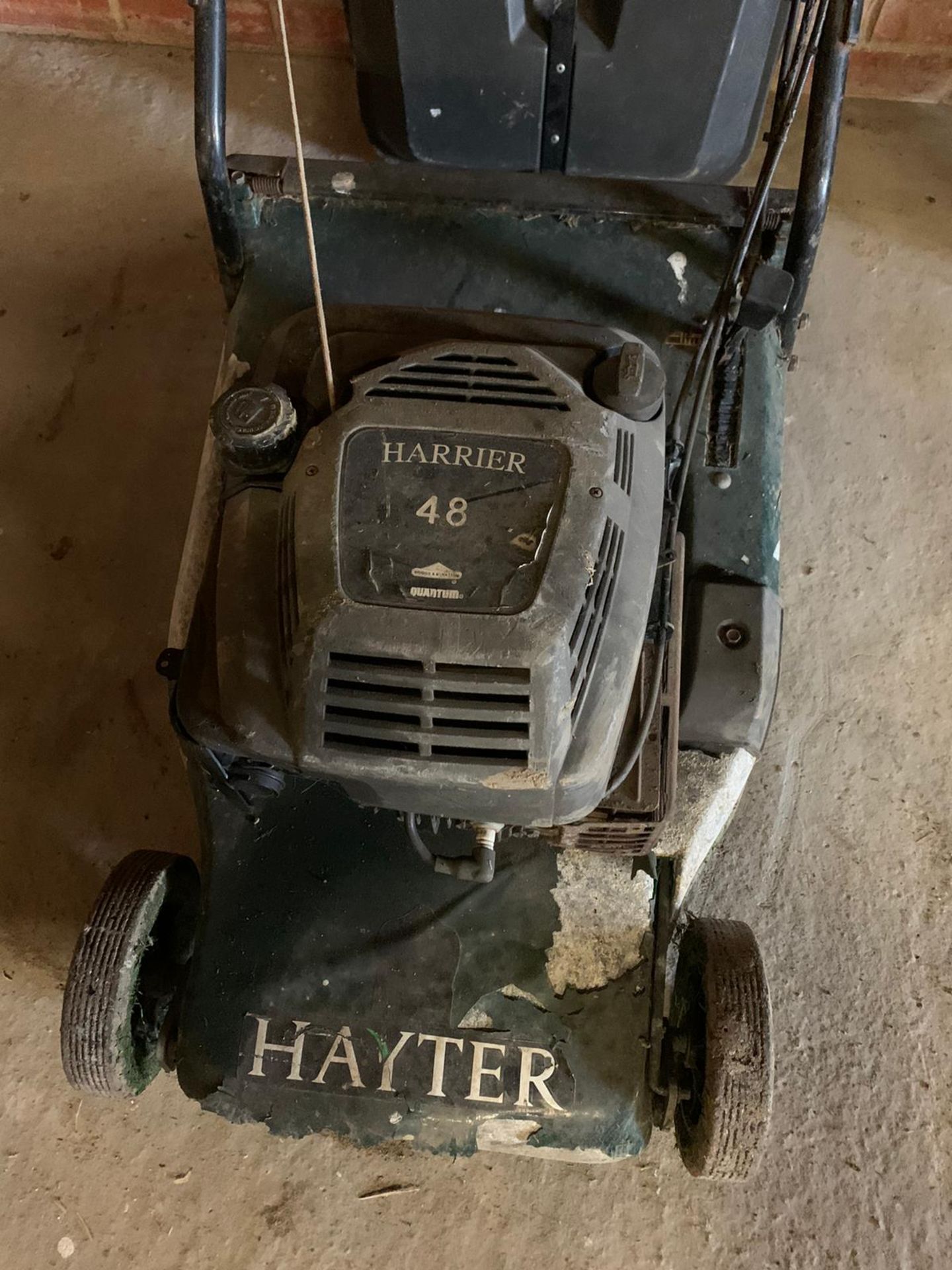 Hayter Harrier 48 Pedestrian Mower