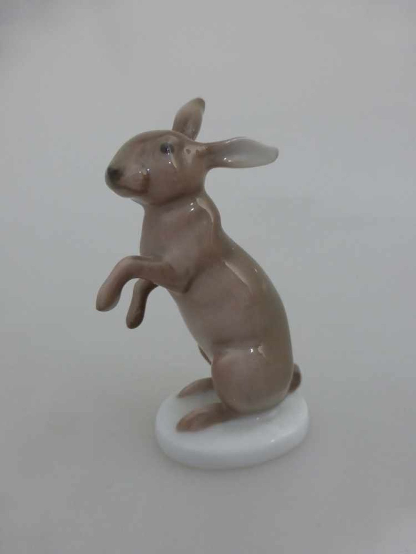 Rosenthal / Selb, Tierfigur Hase, Porzellan, naturalistisch bemalt, h. 8cm