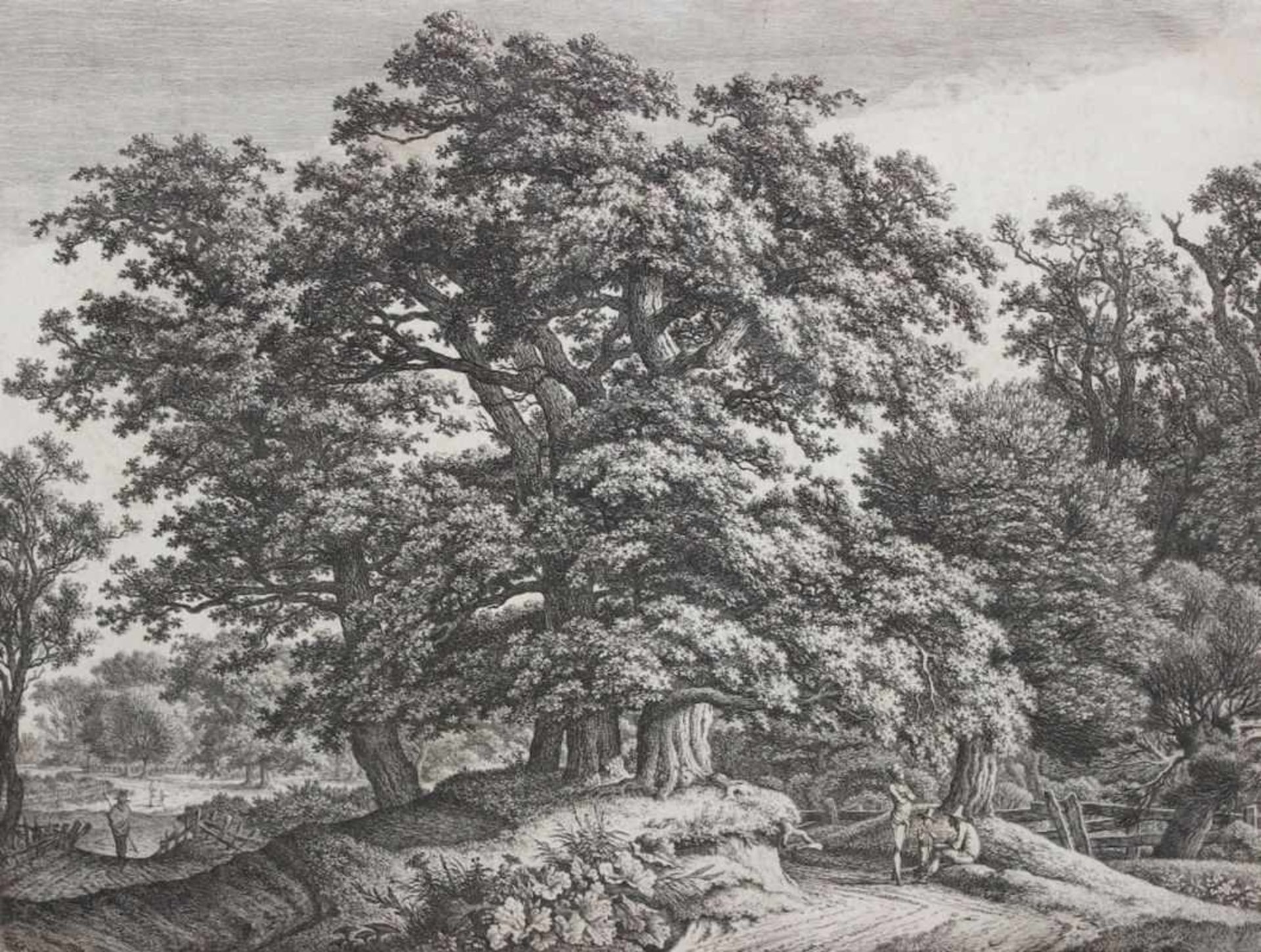 Radierung - Carl Wilhelm I KOLBE (1757 Berlin -1835 Dessau) "Waldlandschaft mit vier Eichen auf