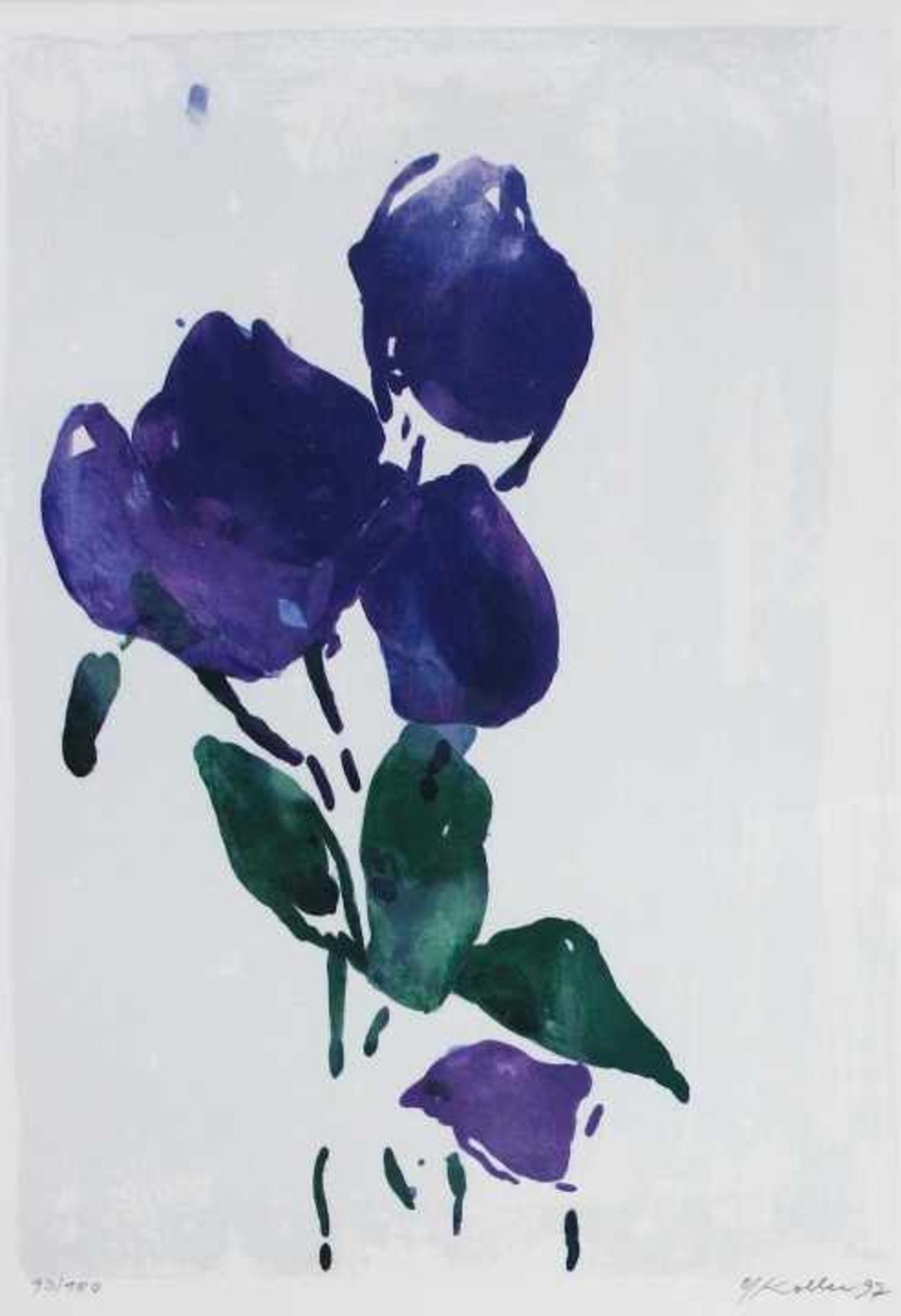 Farblithographie - Oskar Koller (1925 Erlangen - 2004 Fürth) "Violette Blume", r.u.