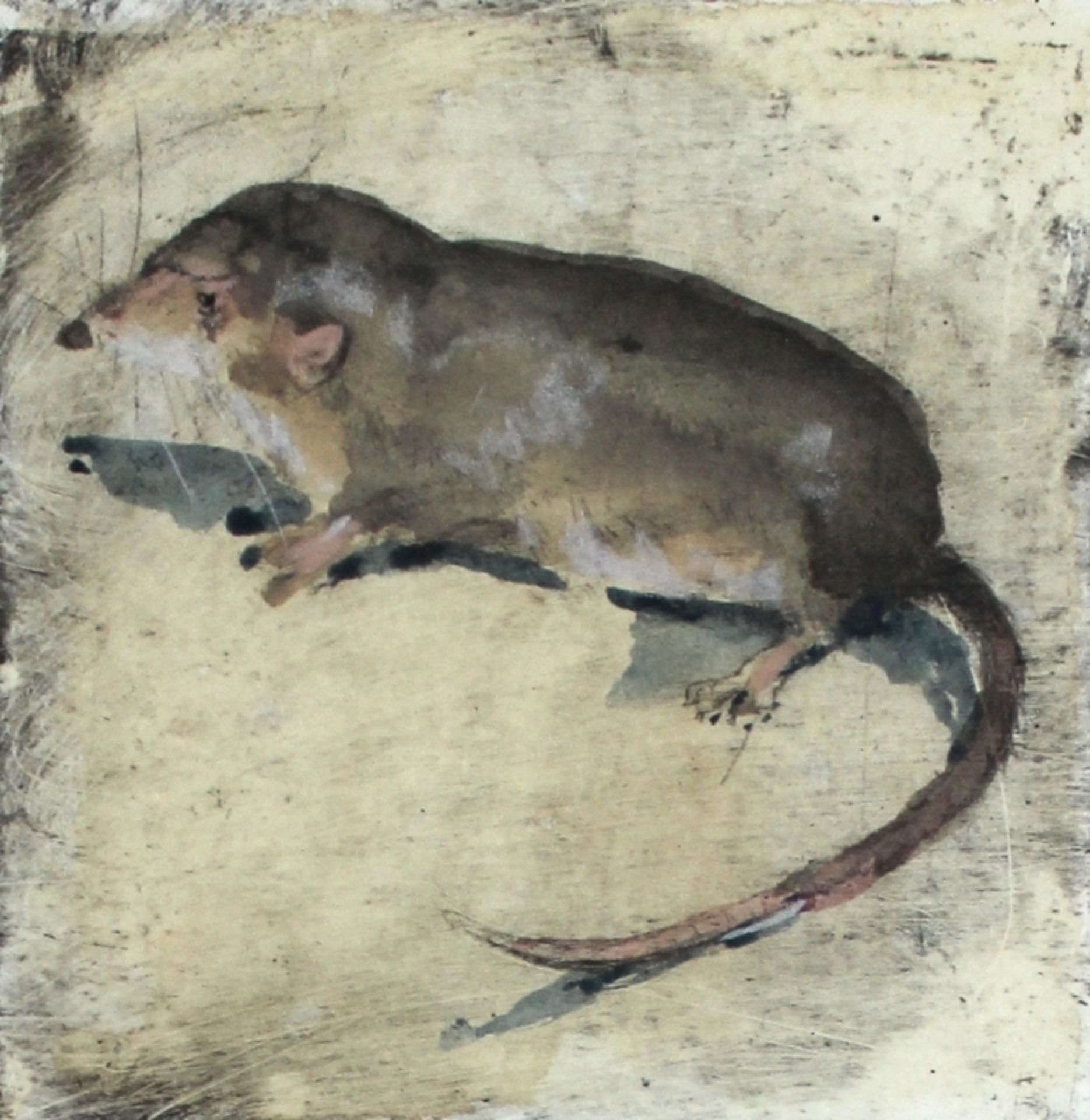 Aquarell über Radierskizze- Gerhard Prechtl (1951 Regensburg) "Spitzmaus", u.M. signiert,