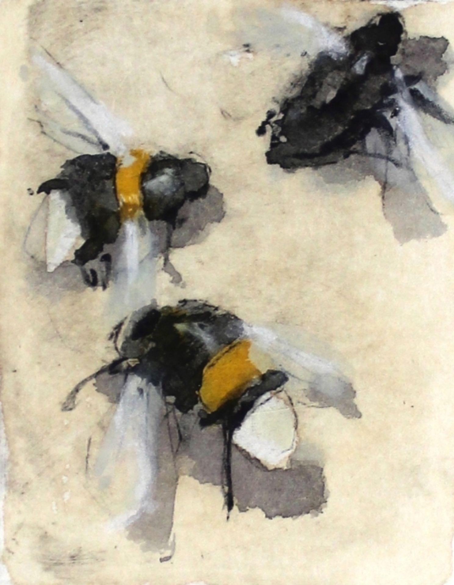 Aquarell über Radierskizze- Gerhard Prechtl (1951 Regensburg) "Bienen", u.M. signiert, Plattenmaße