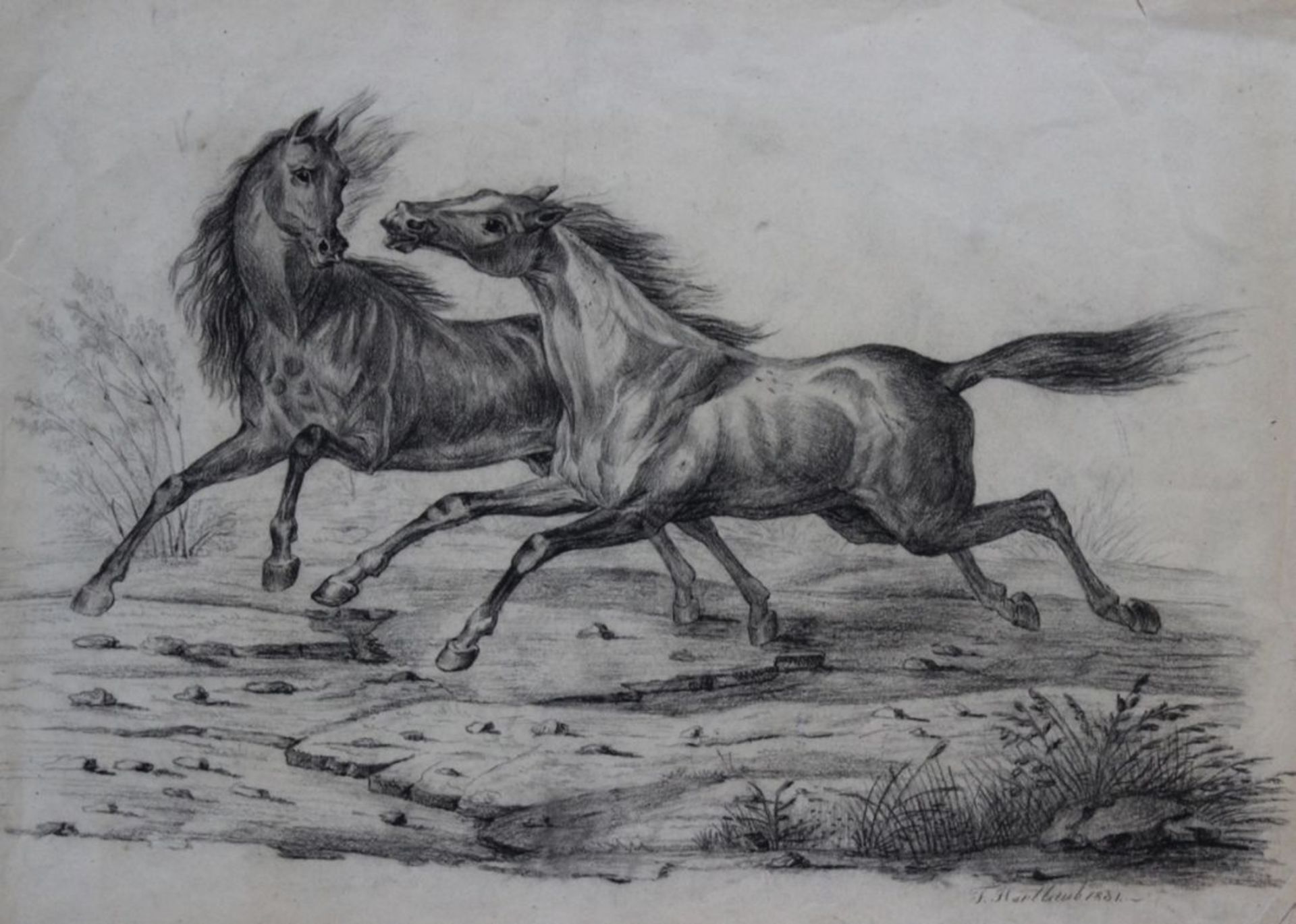 Zeichnung - Biedermeier 19.Jahrhundert "Pferde", r.u. signiert F. Hartlaub, datiert 1831,