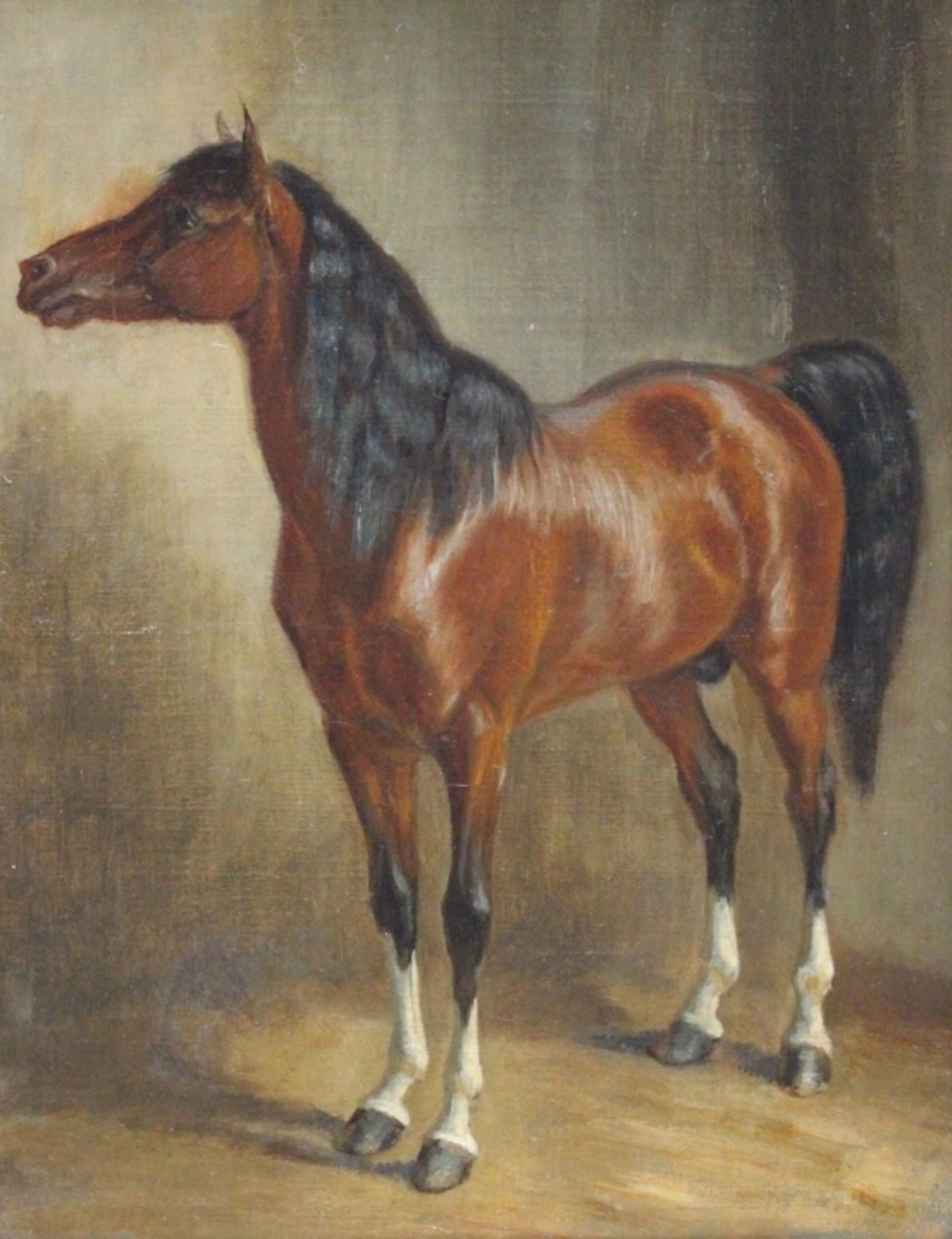 Gemälde - Pferdemaler des 19. Jahrhunderts "Stehendes braunes Pferd nach links gewendet", anonymer