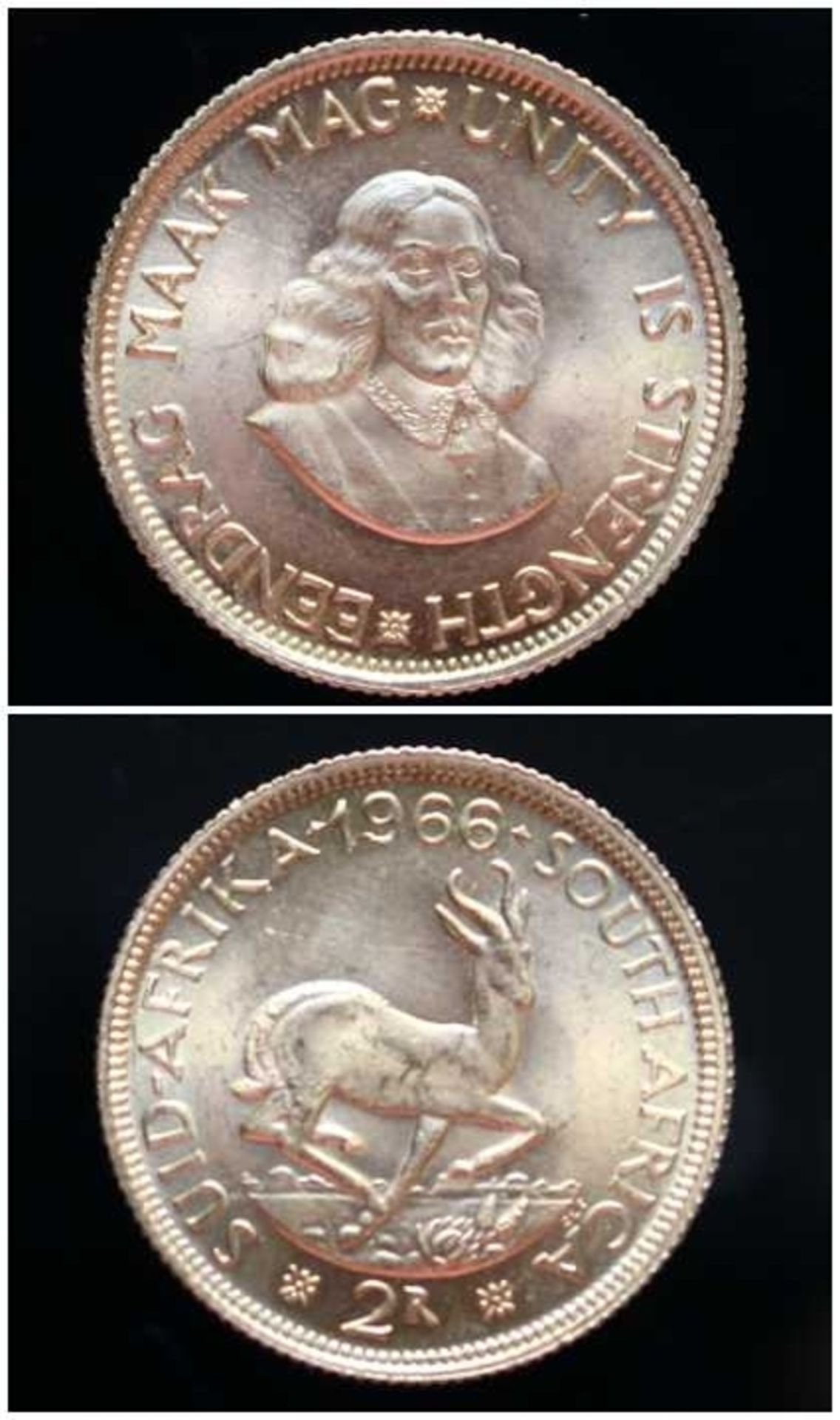 2 Rand Goldmünze - South Afrika 1966 Rs: Südafrikanisches Wappentier Springbock, Vs: Portrait von