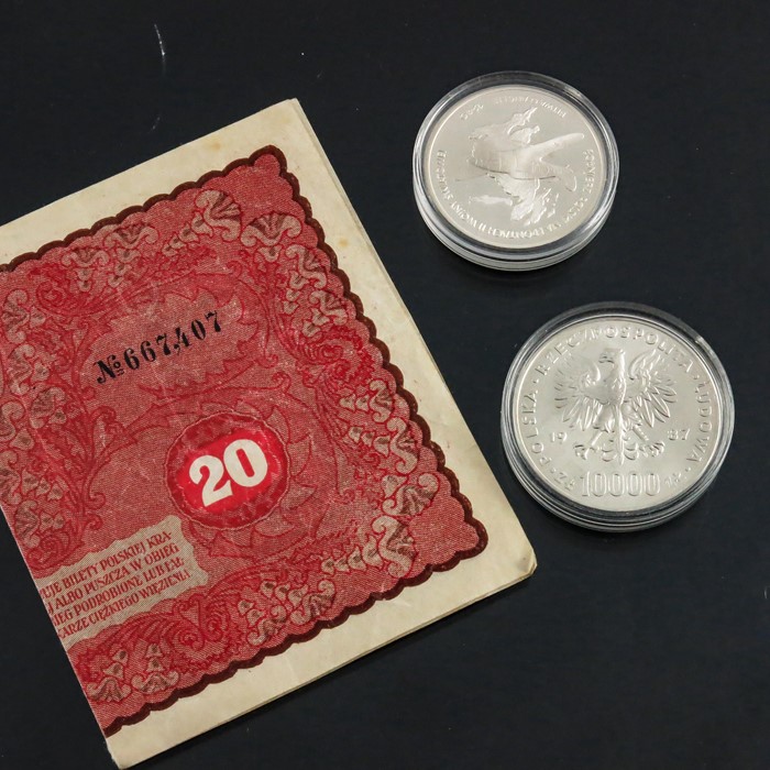 Two Polish coins