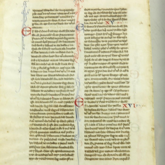 Two double sided Medieval vellum illuminated manuscript pages, 14th century - Image 5 of 6