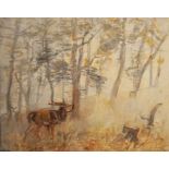 Peter Biegel (1913-1988), Bellowing Stag, oil on board, signed, 30cm x 37cm, framed