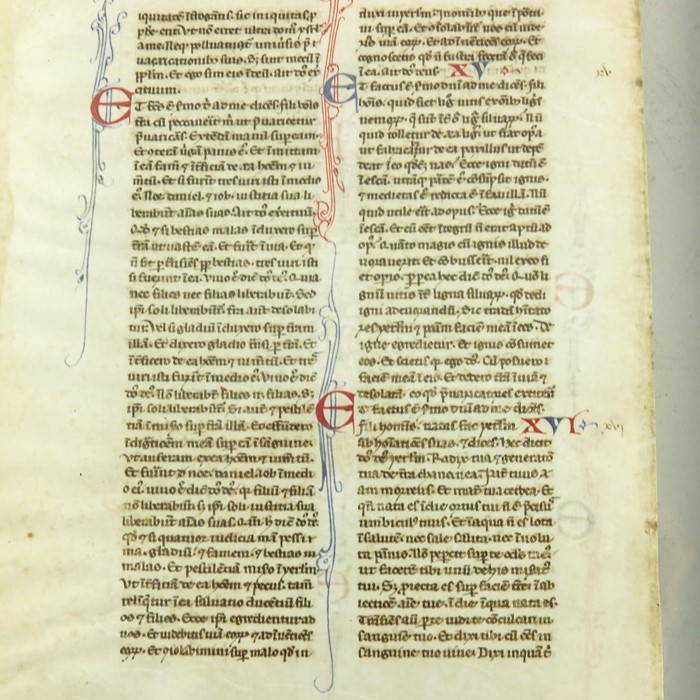 Two double sided Medieval vellum illuminated manuscript pages, 14th century - Image 6 of 6