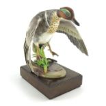 Ronald Van Ruyckevelt for Royal Worcester, a figure of a Green Winged Teal,