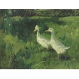 Charles Walter Simpson (1885-1971), Ducks in a Field