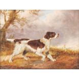 Style of George Armfield, Hunting Dog