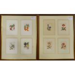 Eight botanial studies framed as two, two colour t
